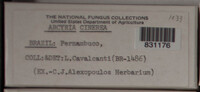 Image Associated With the Occurence